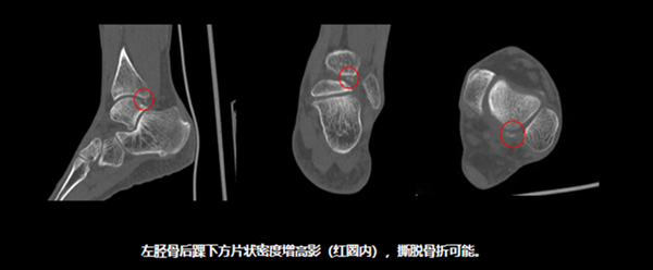 圖片 5.jpg