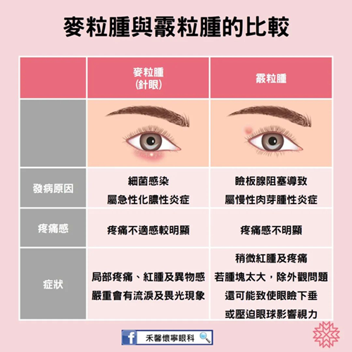圖片 3.png