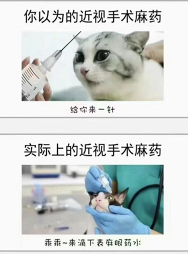 微信圖片_20240807142007.png