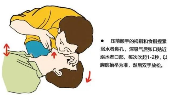 微信圖片_20240815103312.png