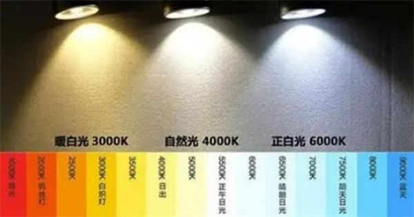 微信圖片_20250217135413.jpg