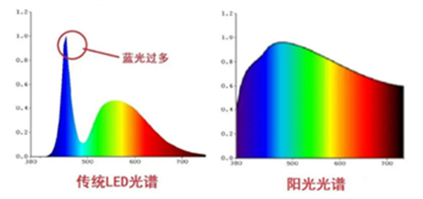 微信圖片_20250217135422.jpg