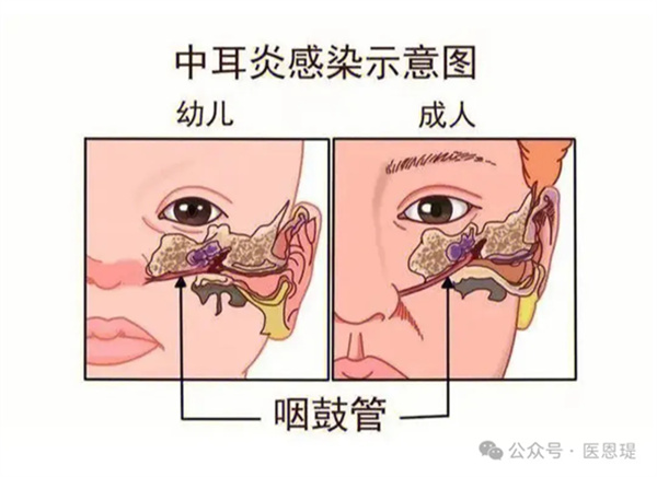 微信圖片_20250313133247.jpg