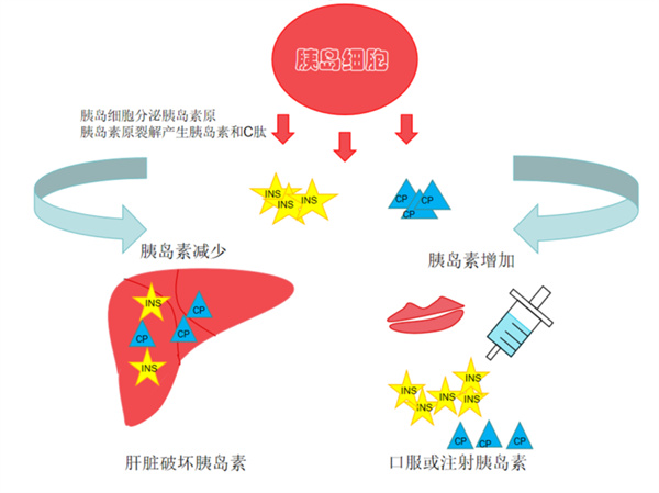 微信圖片_20250317141420.jpg