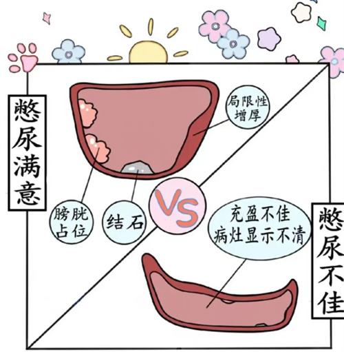 微信圖片_20250424095232.jpg