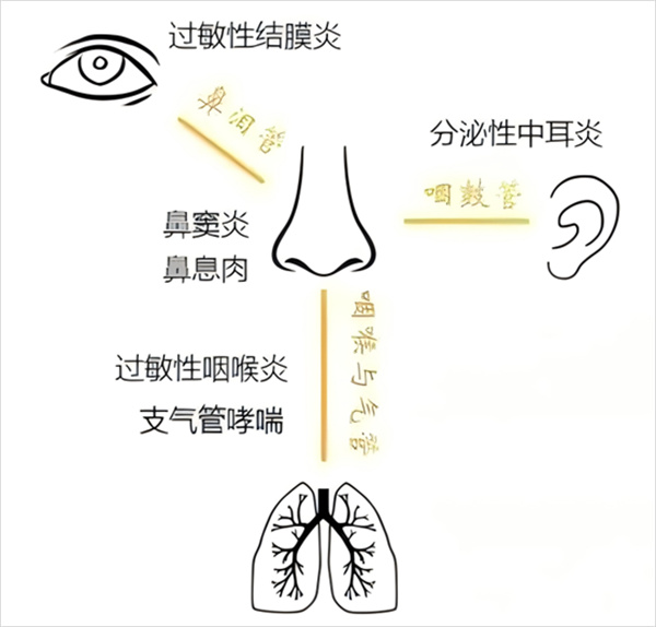 微信圖片_20250514101730.jpg