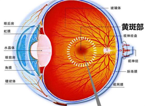 微信圖片_20250515135112.jpg