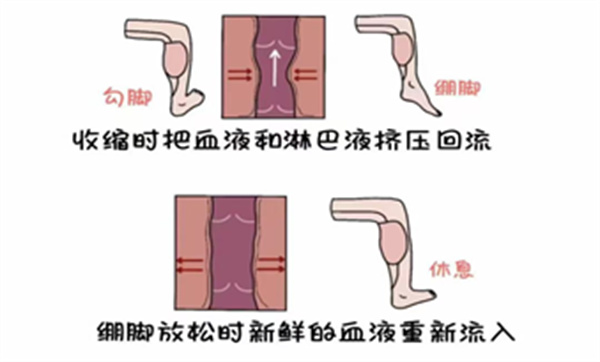 微信圖片_20250605163321.jpg
